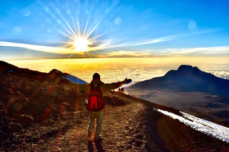 D4DE8631-3A46-4BB2-839D-88FA074FD5C8