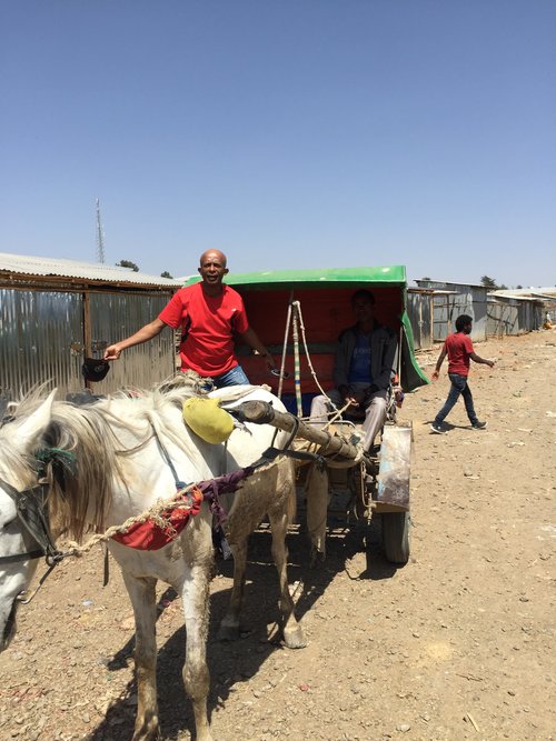 Method of transportation that I sued use as a child in Ethiopia